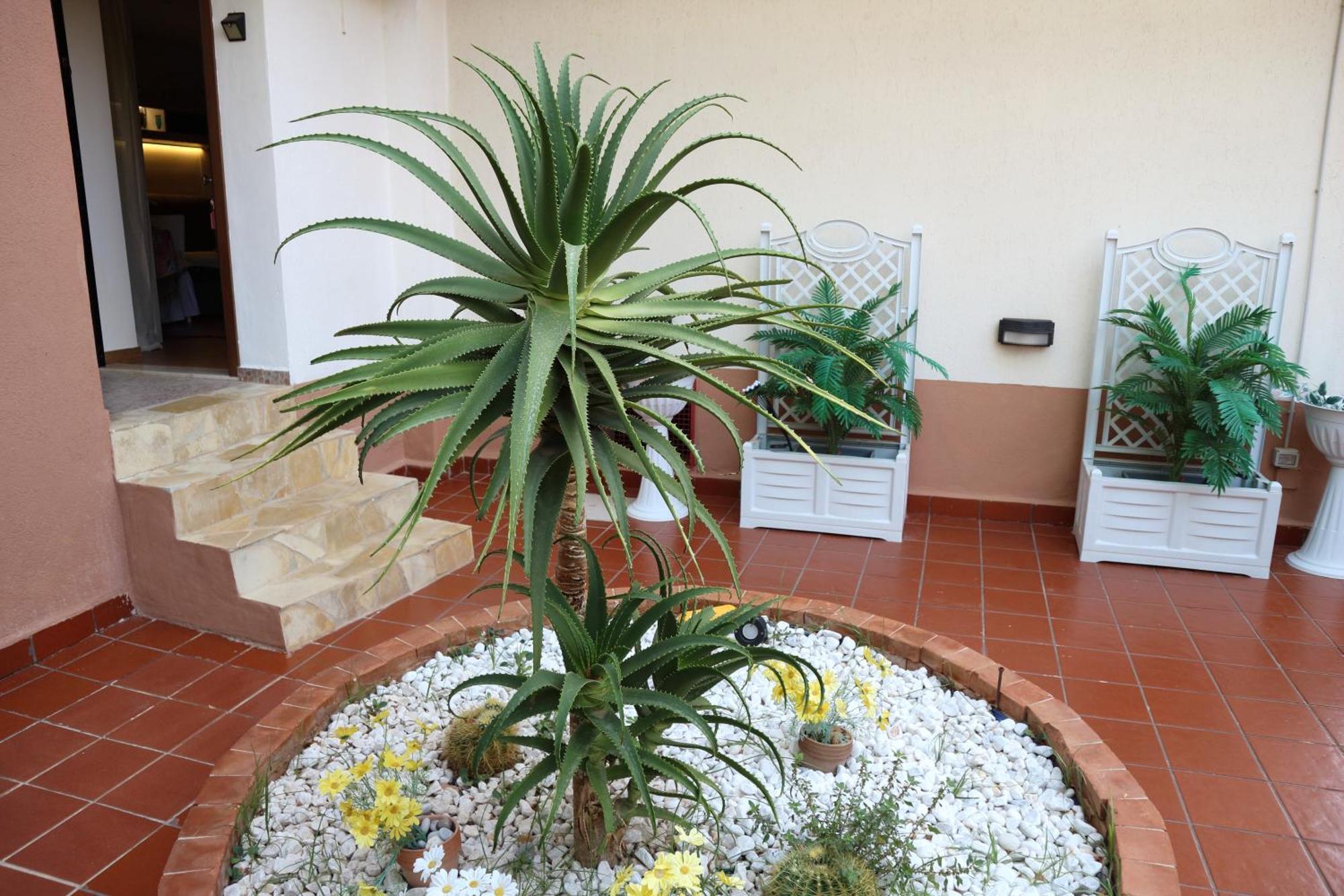 Mondello House Lemon Apartment Palermo Exterior photo